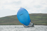zebedee 6731y whyw16 sun 800 1843w